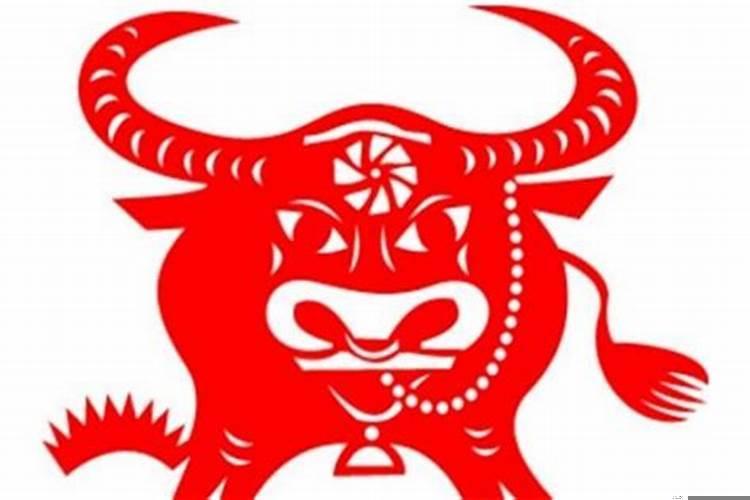 72岁本命年属牛有什么讲究