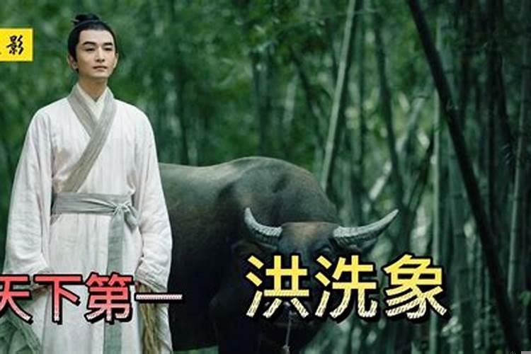 洪洗象性格