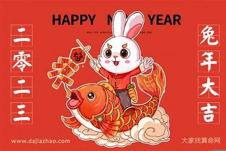 猪在兔年运势2025运势详解