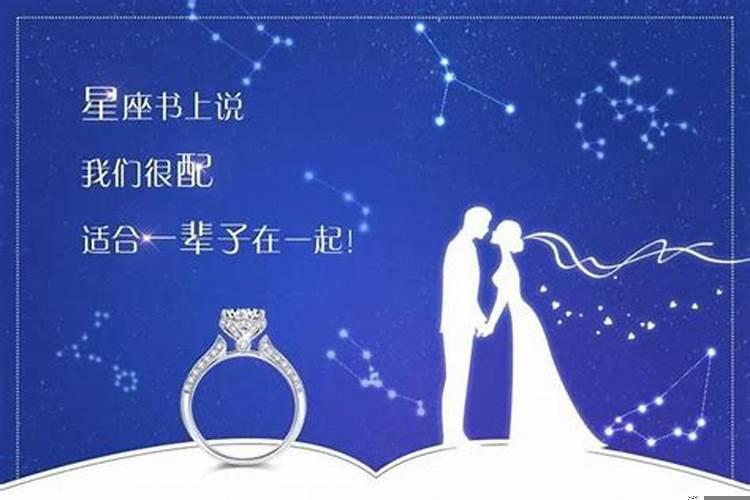 不善于表达感情的星座