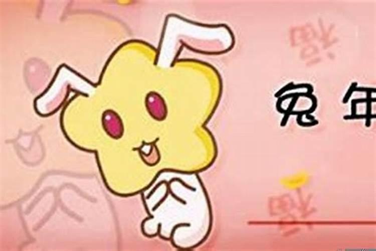 属兔的人感情不顺