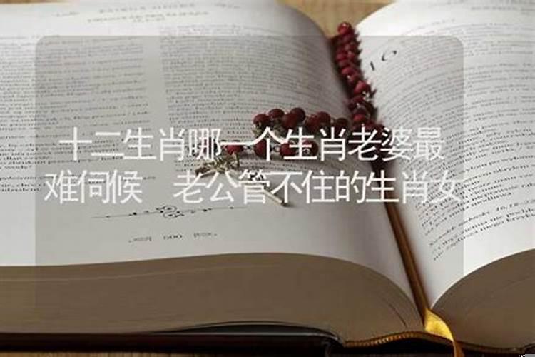 12生肖最怕老婆的是