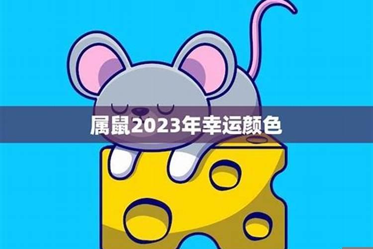属鼠的今年的幸运颜色是什么色