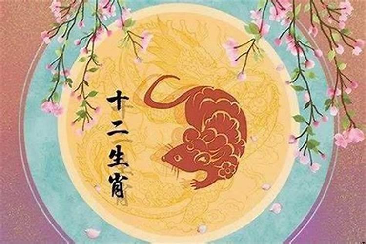 属鼠的今年的幸运颜色是什么色
