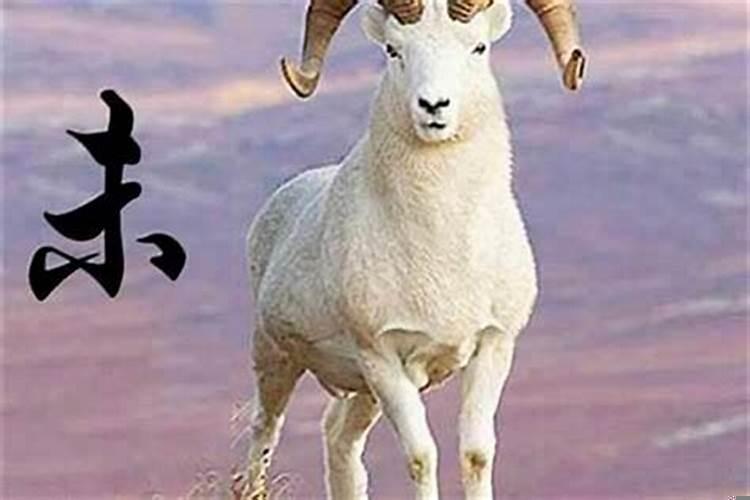 属羊人2021年有什么大劫
