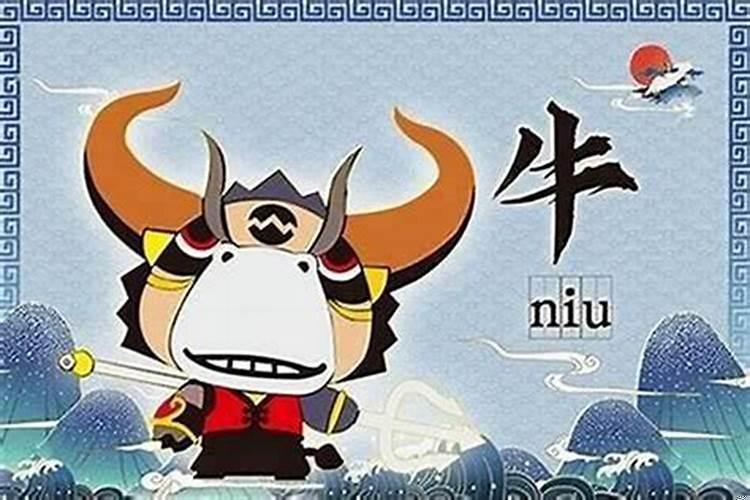 牛年本命年应该穿红色吗