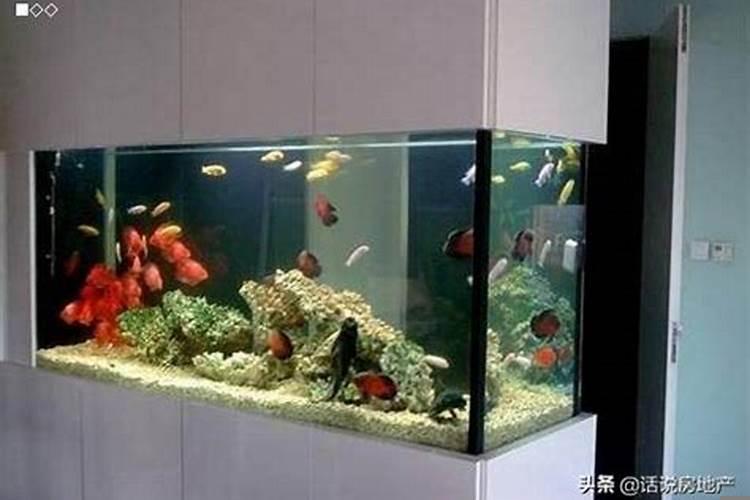 家中养鱼的风水禁忌有哪些