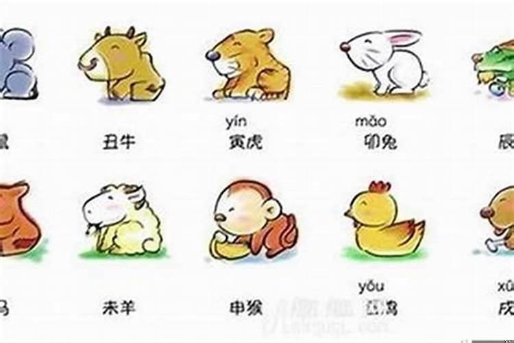 2025年春节是什么生肖
