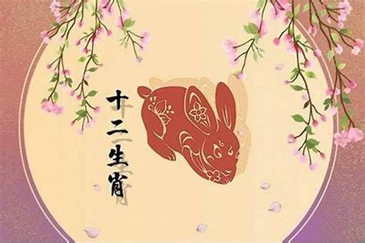 属兔的人36岁时运气怎么样