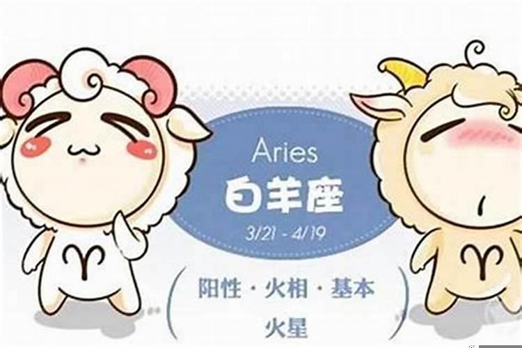白羊男该怎么追求爱情