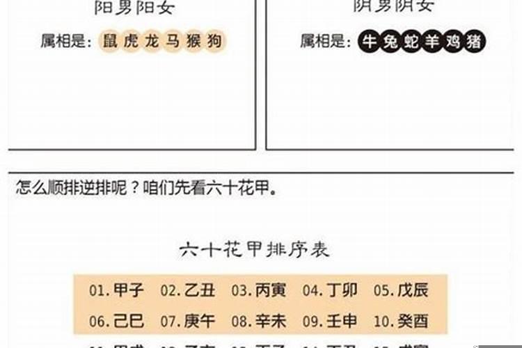 八字大运怎么排法