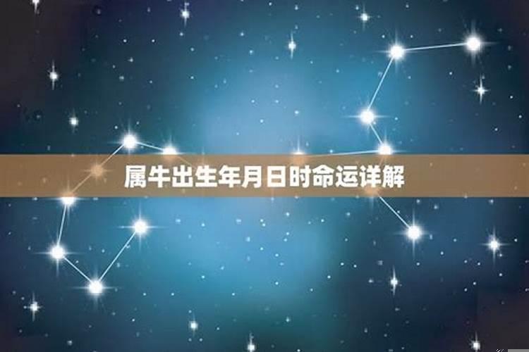 己卯日柱2025年运势