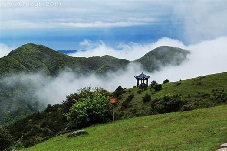 梦见火烧山林是什么意思