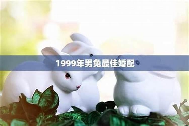 99年属兔最佳婚配年龄