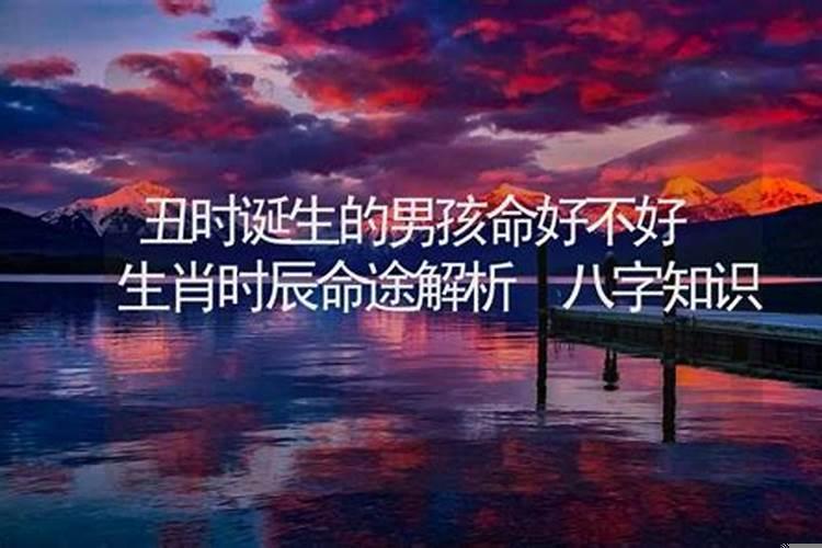 丑年丑时出生的男孩命运