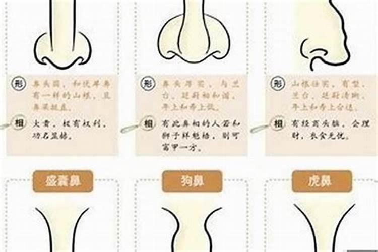 什么样鼻子生财