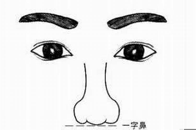 什么样鼻子生财
