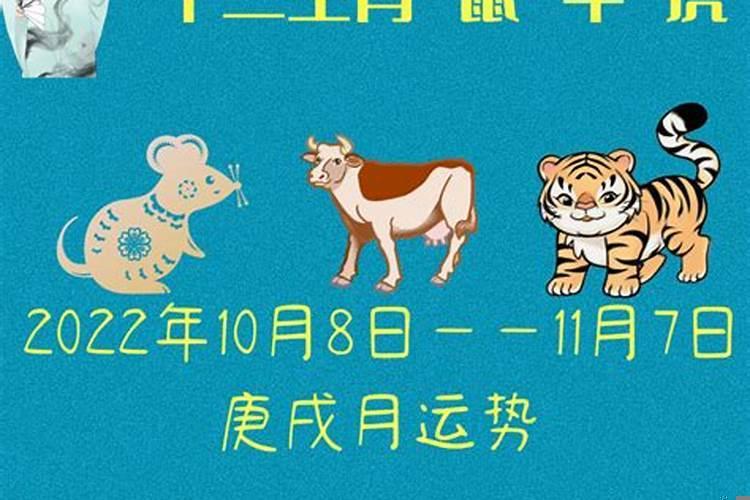 属鼠牛虎一家
