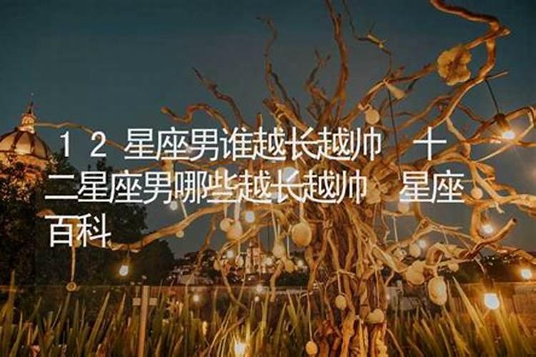 12星座谁越长越丑