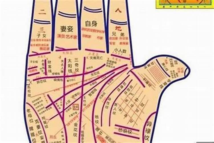 从手相能看出财运吗