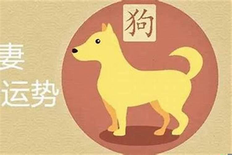 俩口子都属狗的好不好
