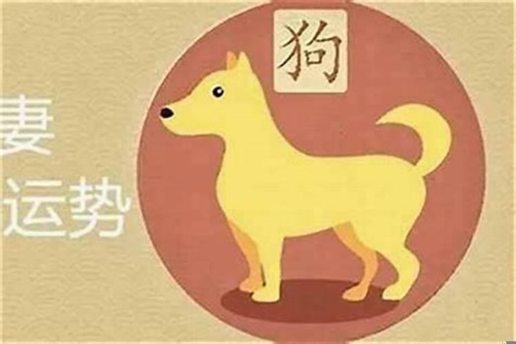 俩口子都属狗的好不好