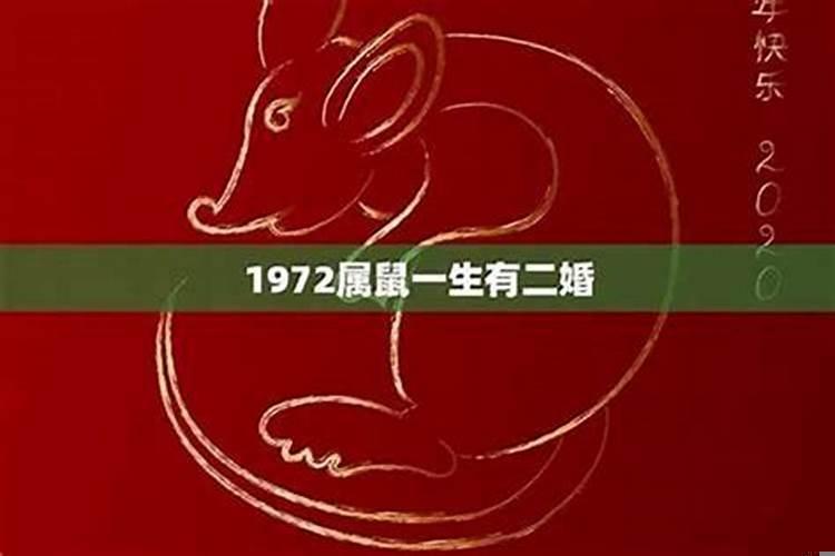 84年属鼠有几段婚姻