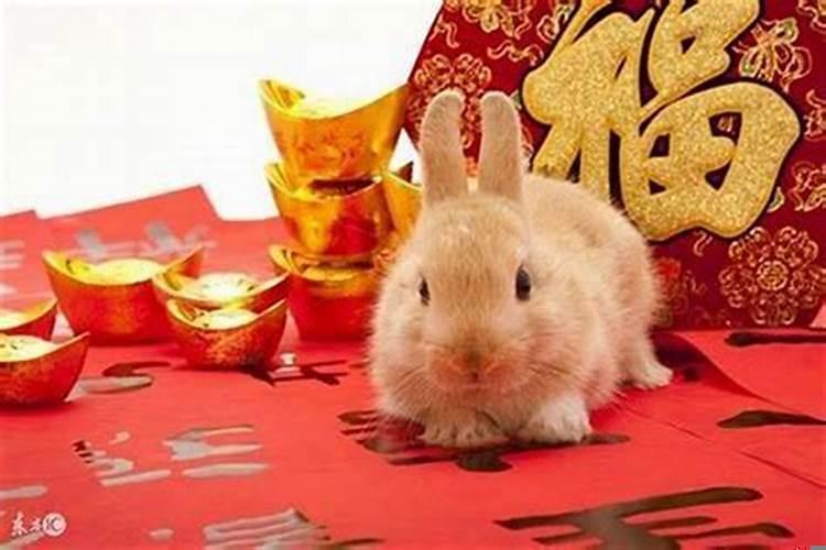心眼最坏的属相女是谁