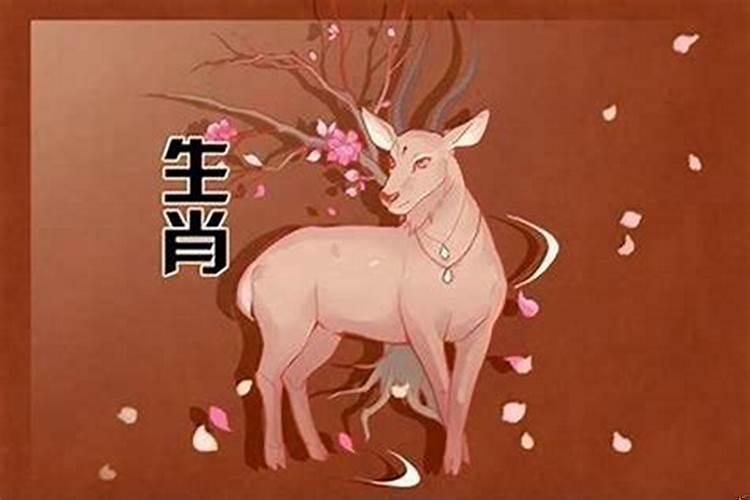 2020属羊的情劫