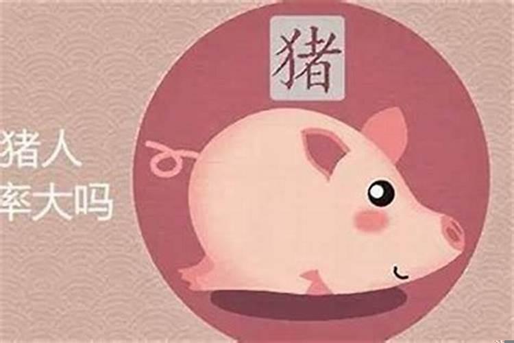 2022年生肖猪女运势