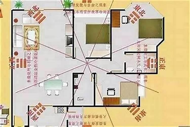家里应该放什么东西发财