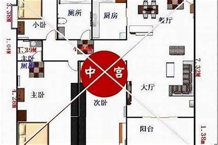 三角梅花用什么花盆好看