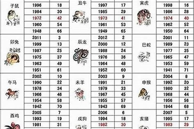属猪属马属狗是几几年