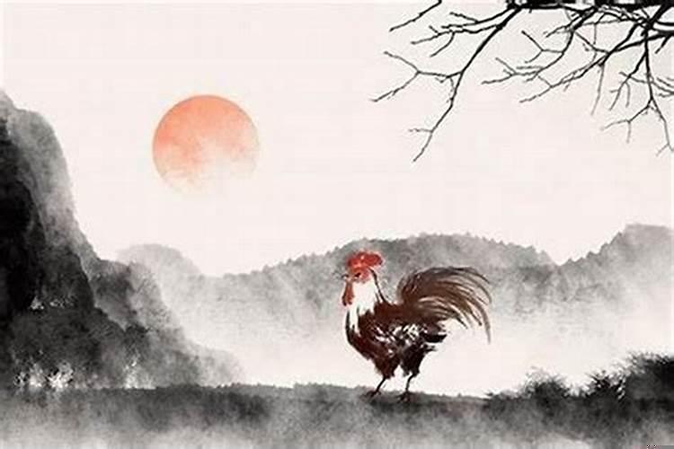 属鸡40岁为什么命苦呢