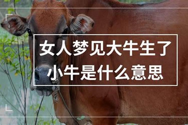 怀孕五个月做梦梦见生了个女儿