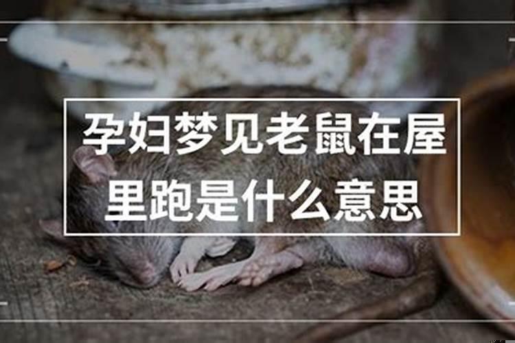 孕妇梦到老鼠是男孩女孩