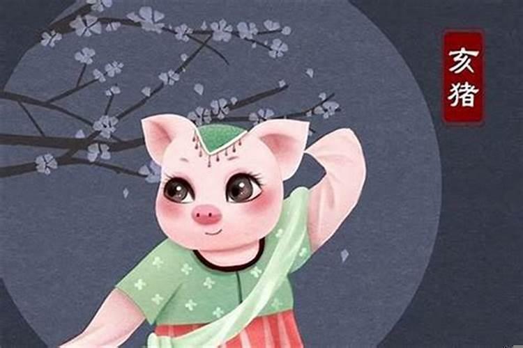 属猪的财运和运气怎么样