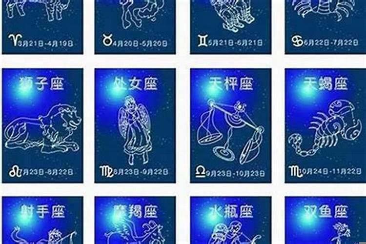 8星座运势查询