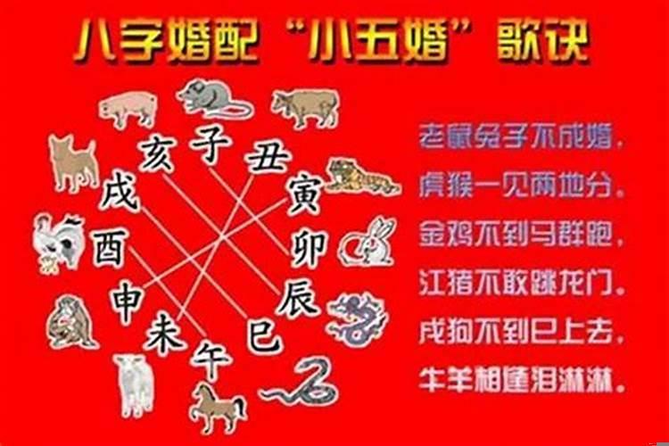 2022年虎年属羊可生虎宝宝吗