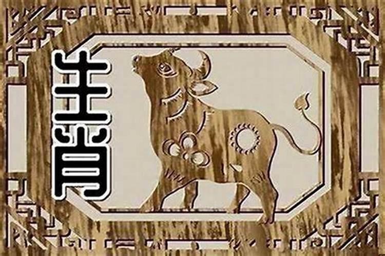 龙和牛的属相合不合子女