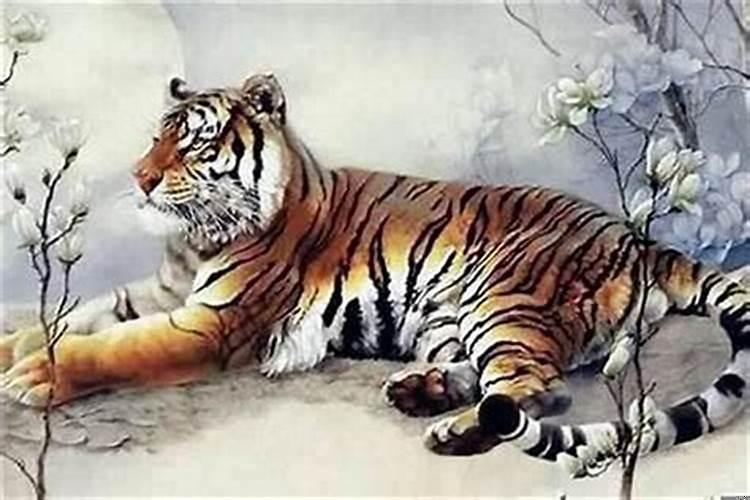 2022年虎年属羊可生虎宝宝吗