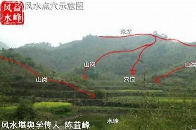 平阳龙风水
