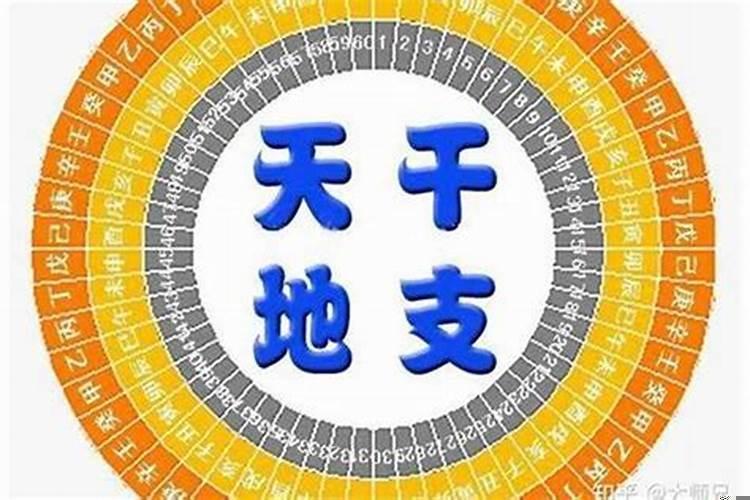 财星合日干
