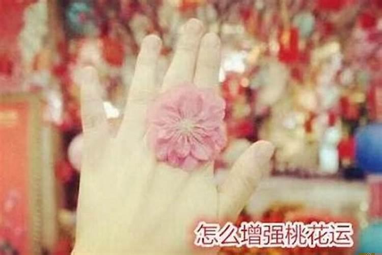 简单催桃花