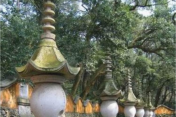 天台风水大师