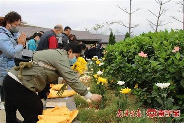 今年柳州清明节可以扫墓吗