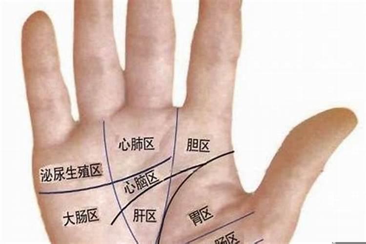 看财运手相看财运