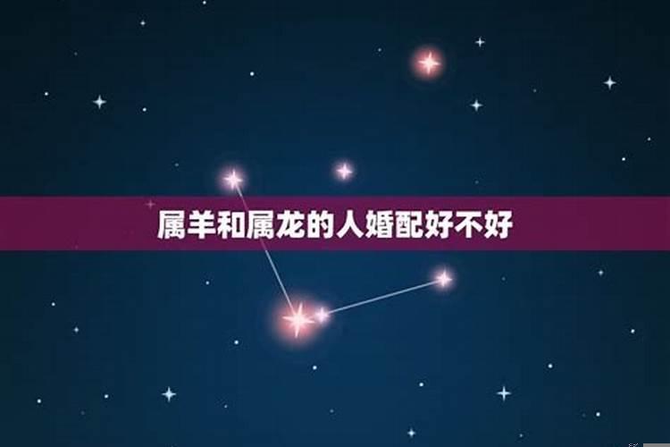 67年属羊女会有情人