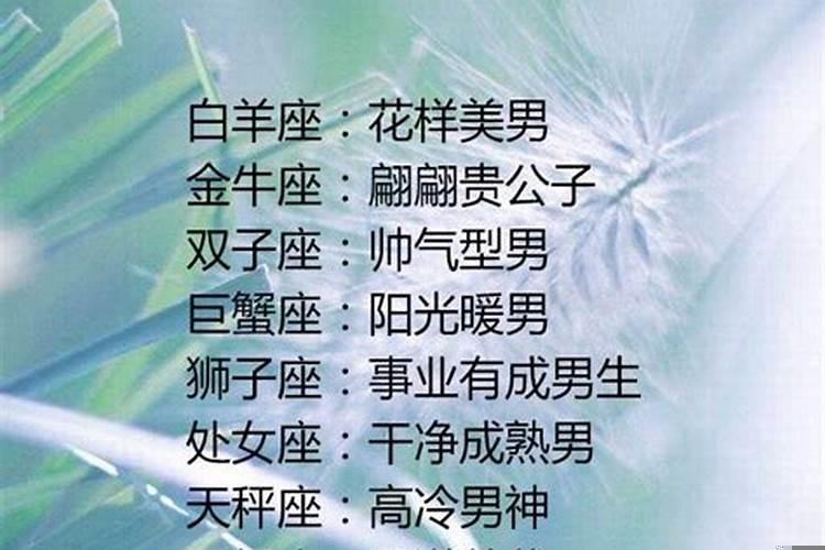 长大后最帅的星座男