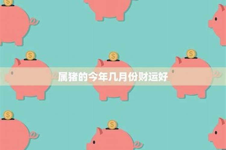 属猪的什么年份财运最佳女人